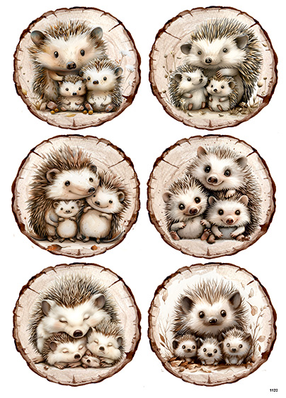 Serwetki Cudaniewidy - ilustracja