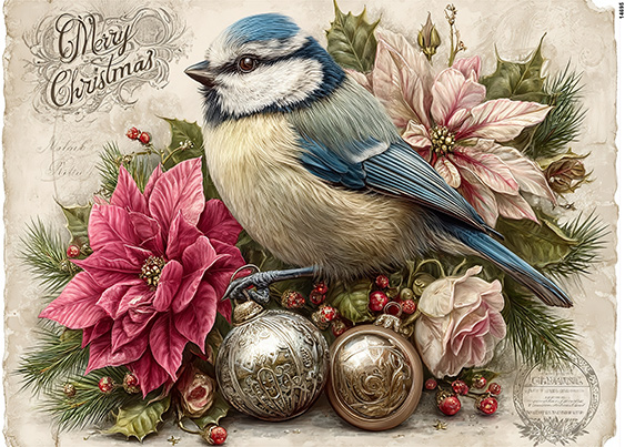 Serwetki Cudaniewidy - ilustracja