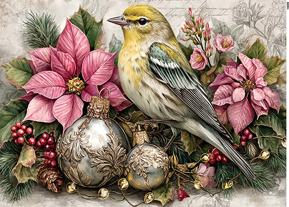 Serwetki Cudaniewidy - ilustracja