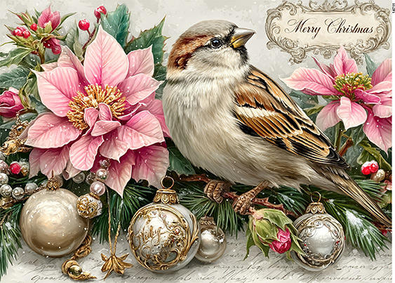 Serwetki Cudaniewidy - ilustracja