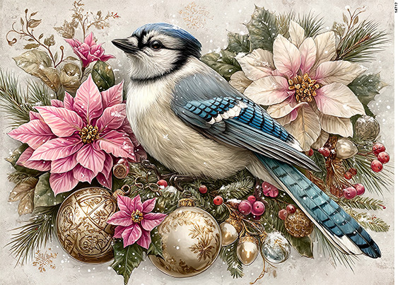 Serwetki Cudaniewidy - ilustracja