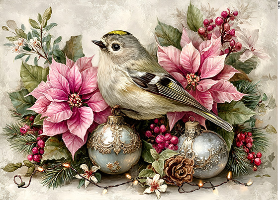 Serwetki Cudaniewidy - ilustracja