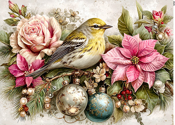 Serwetki Cudaniewidy - ilustracja