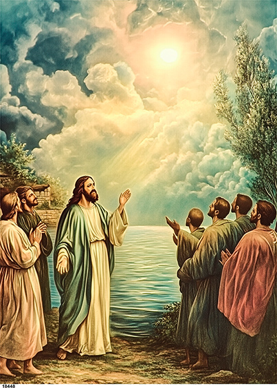 Serwetki Cudaniewidy - ilustracja