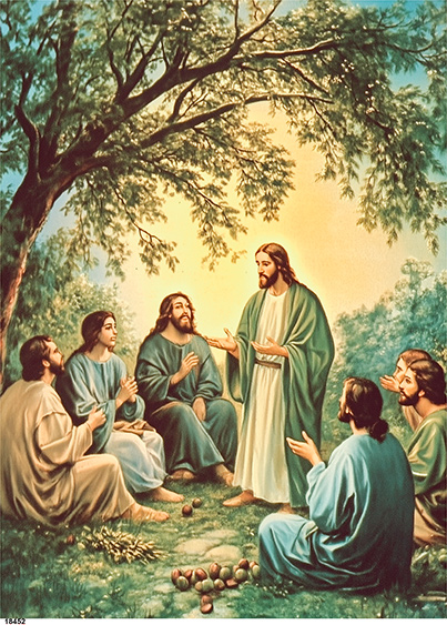 Serwetki Cudaniewidy - ilustracja