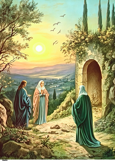 Serwetki Cudaniewidy - ilustracja