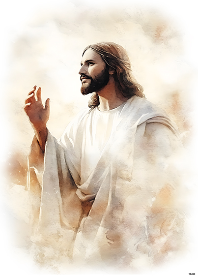 Serwetki Cudaniewidy - ilustracja