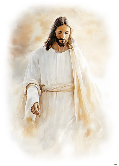 Serwetki Cudaniewidy - ilustracja