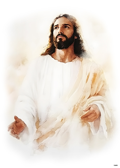 Serwetki Cudaniewidy - ilustracja