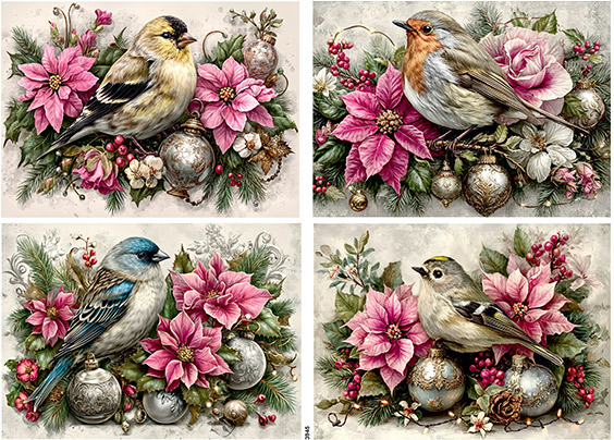 Serwetki Cudaniewidy - ilustracja