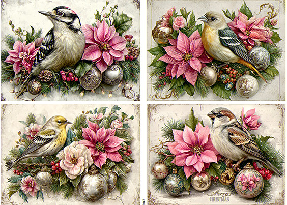 Serwetki Cudaniewidy - ilustracja