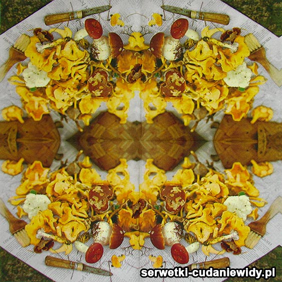 Serwetki Cudaniewidy - ilustracja