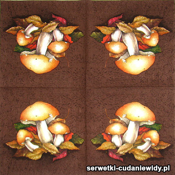 Serwetki Cudaniewidy - ilustracja