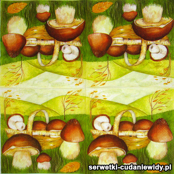 Serwetki Cudaniewidy - ilustracja