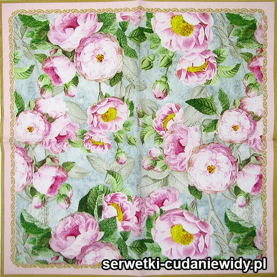 Róże Różowe