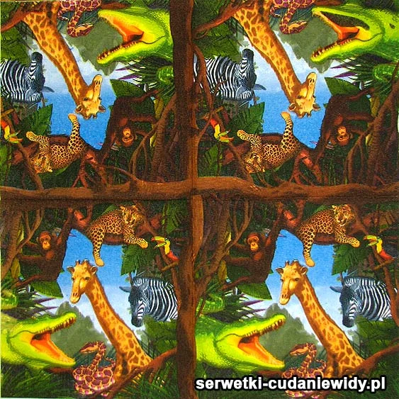 Dzikie Zwierzęta