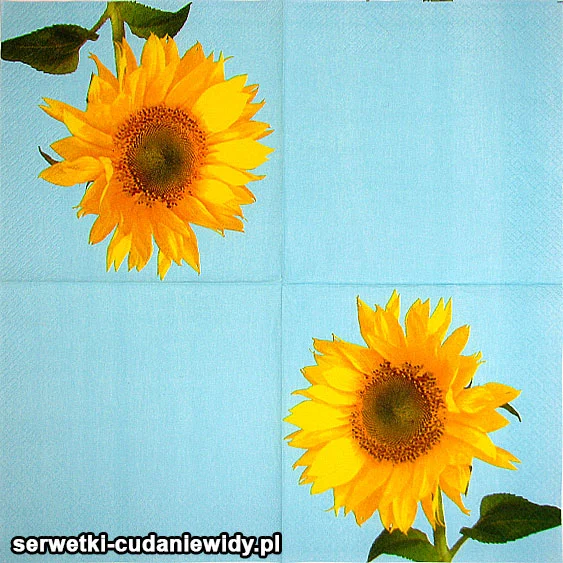 60061 serwetki ostatnia sztuka