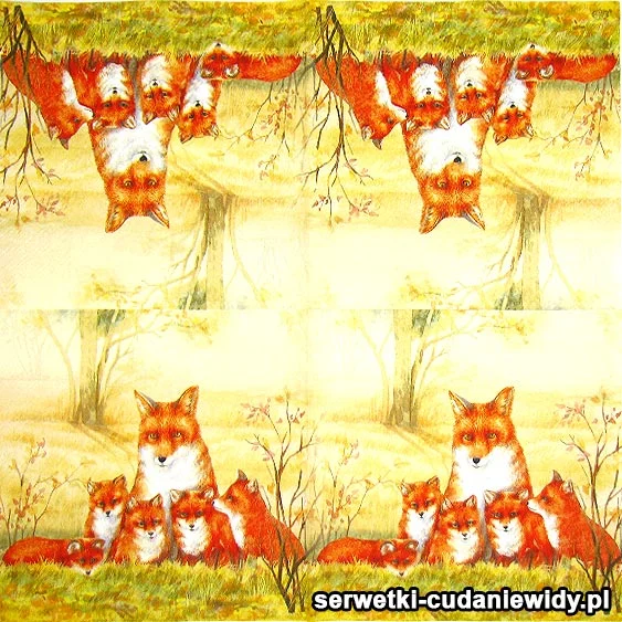 60763 serwetki ostatnia sztuka