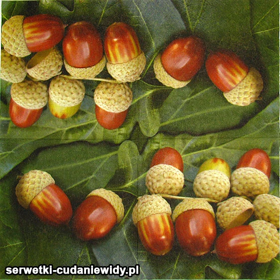 Serwetki