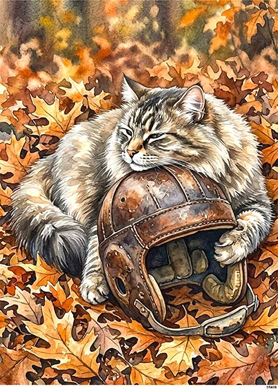 CN25408 papier ryżowy KOT SYBERYJSKI I KASK SPORTOWY