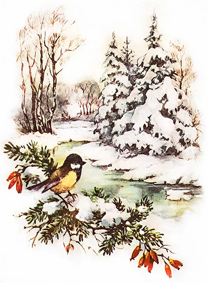 CN0288-A6 Choinki Ptaszek