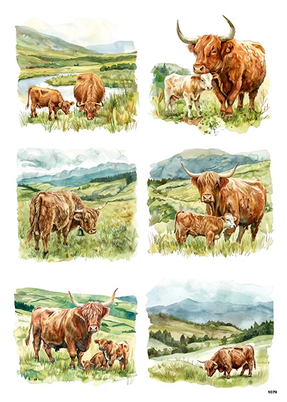 CN1079 Highlandery Na Łące