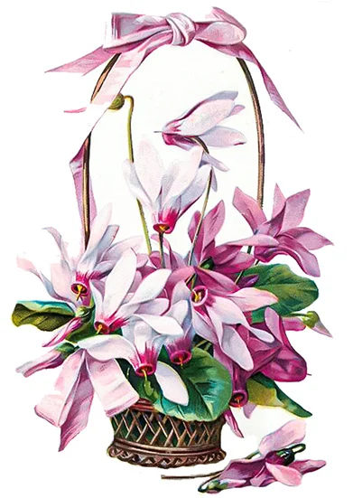 CN10910 Kwiaty