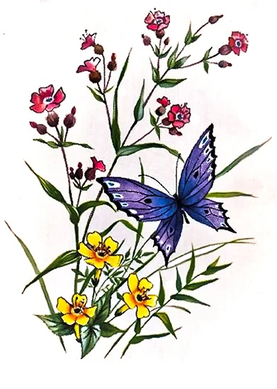 CN11060 Kwiaty
