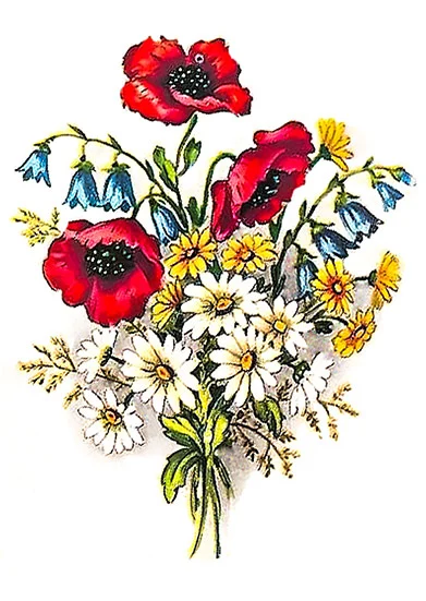 CN11070 Kwiaty