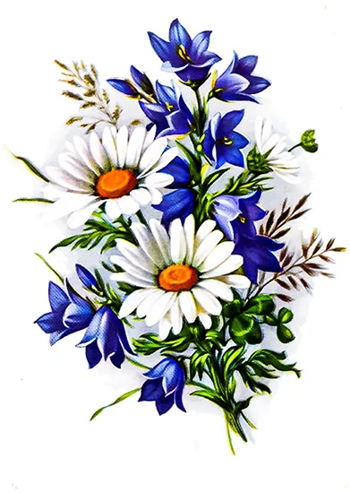 CN11080 Kwiaty