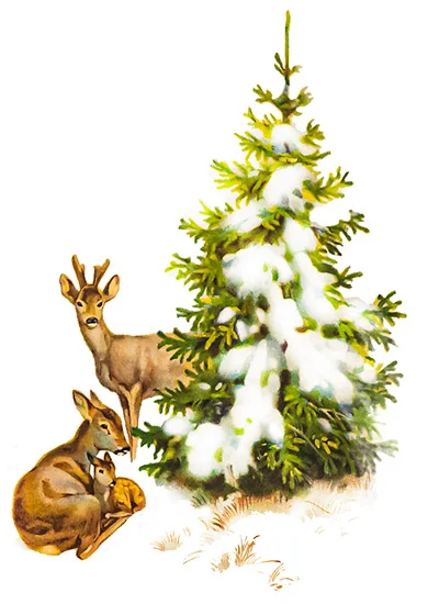 CN11580 Widoczek Zimowy Vintage