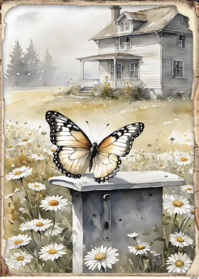 CN12170 Motyl Dom Rumianki