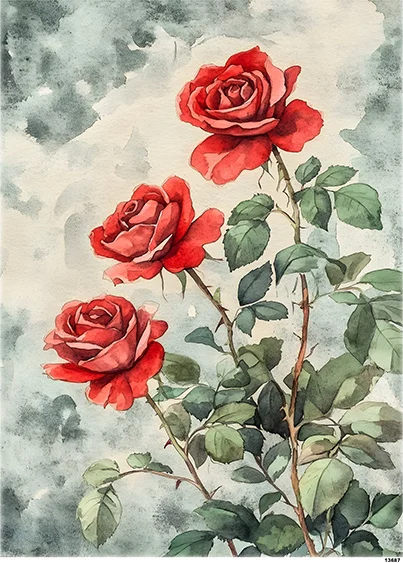 CN13687 CN13687