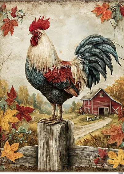 CN13869 CN13869