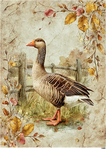 CN13886 CN13886