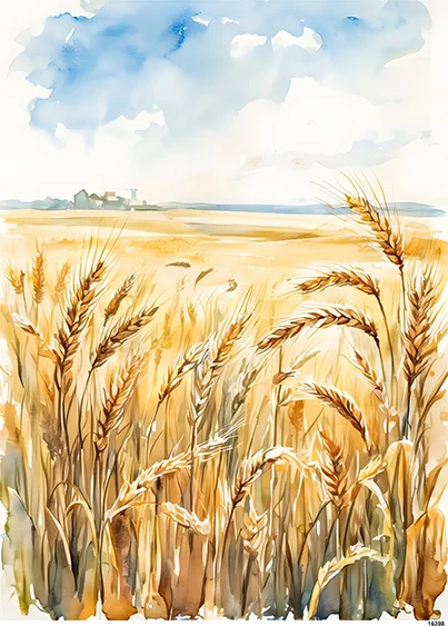 CN16398 CN16398