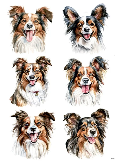 CN1655 Papillon