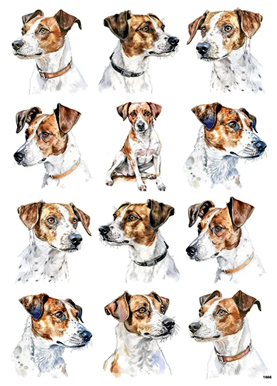 CN1666 Jack Russell Terrier