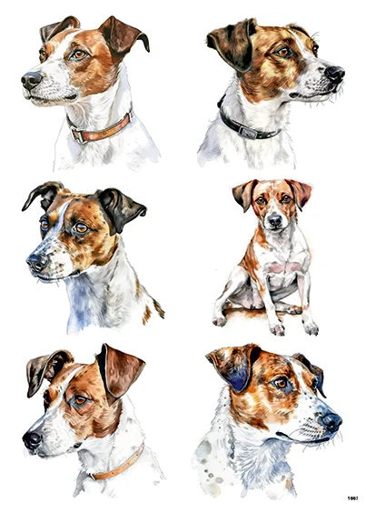 CN1667 Jack Russell Terrier