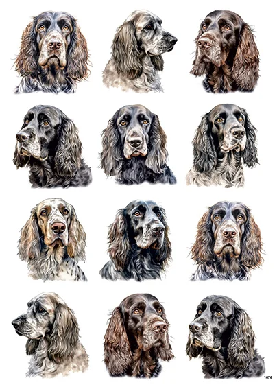 CN1676 Cocker Spaniel