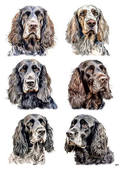 CN1677 Cocker Spaniel