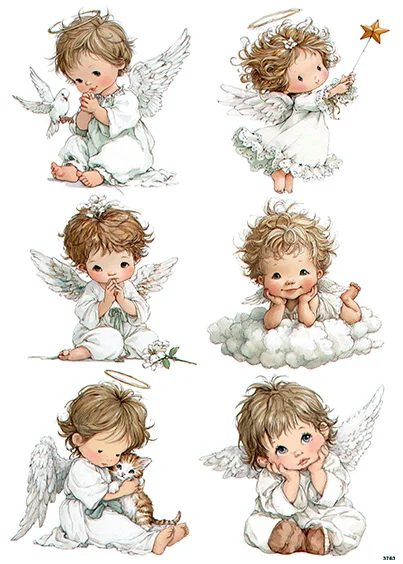 CN3763 CN3763