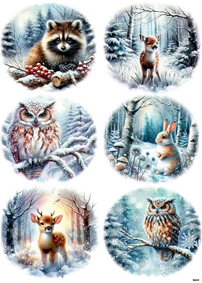 CN3802 Wysokość Pojedynczego Obrazka Ok 9Cm