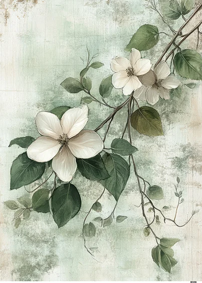 CN8336 CN8336