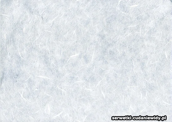 Papier Ryżowy