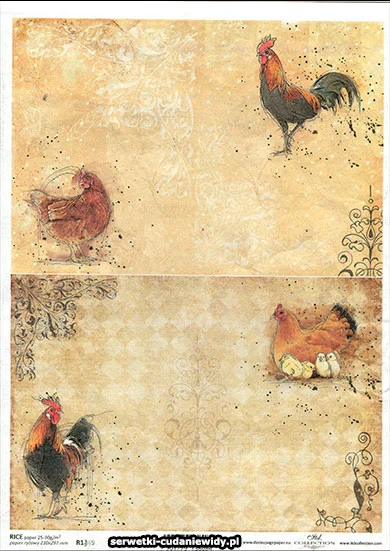 R1349 R1349