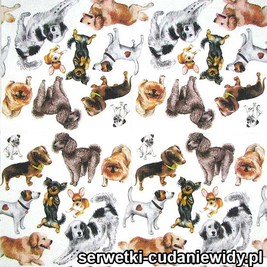 0015 Szczęśliwe Psy