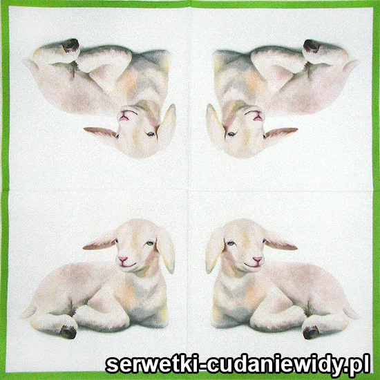 0017 Baranek W Kącie