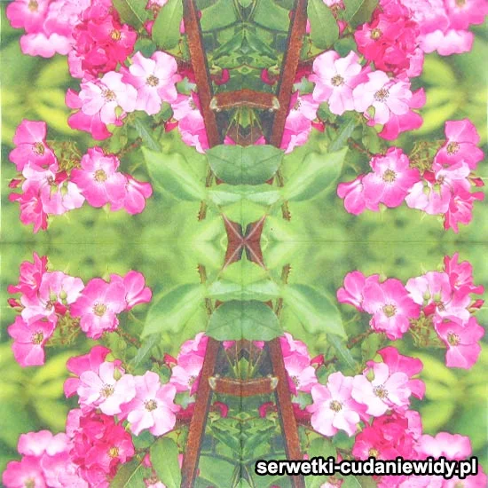 00173 Wzór Unikatowy