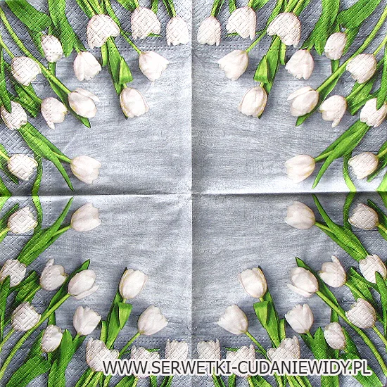 0041 White Tulips